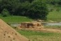 Haystacks