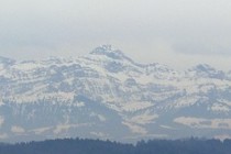 7699-210x140