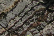 72432-210x140