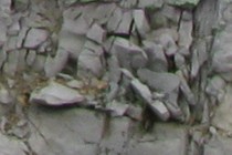 72959-210x140