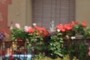 flores en la estación