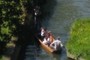 Inexpert punting