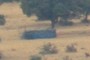 objeto en el campo