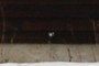 Water valve?