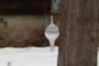 Bird Feeder?