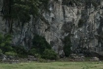 73025-210x140