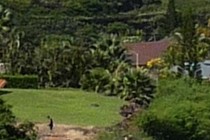 73347-210x140