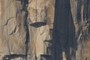 Alien in the rock?