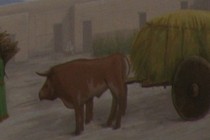 73558-210x140