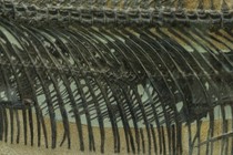 7841-210x140