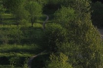 73675-210x140