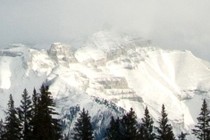 8573-210x140