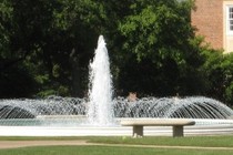 73882-210x140