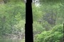 Osaka Garden