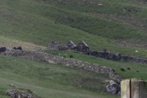 73977-210x140