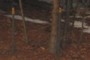 Barbed Wire Fence
