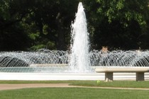 73998-210x140