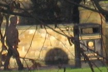 7983-210x140