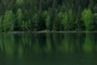 reflections