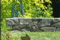 74455-210x140