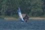 Windsurfer