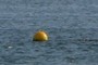 Another buoy