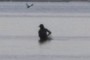 Fly fisherman