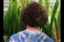 cuctus and curls