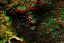 75362-210x140
