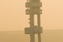 the TV Tower Babies
