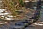 Steps