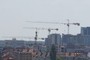 Three Cranes