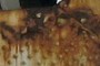 rust