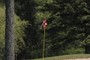Flagstick