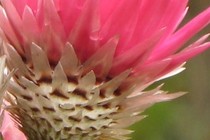 8474-210x140
