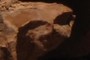 Alien Face