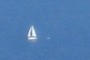 sailboat