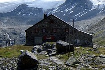 8502-210x140