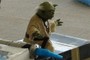 Yoda