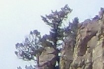 77415-210x140