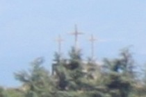 77363-210x140