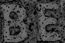 77483-210x140