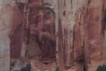 77956-210x140