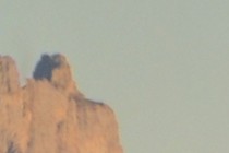 77974-210x140