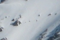 77976-210x140