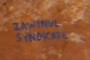 Zawi Nul Syndicate