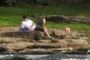 watching the river flow by