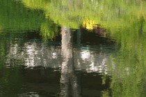 78490-210x140
