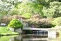 Bridge Waterfall