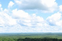 78453-210x140